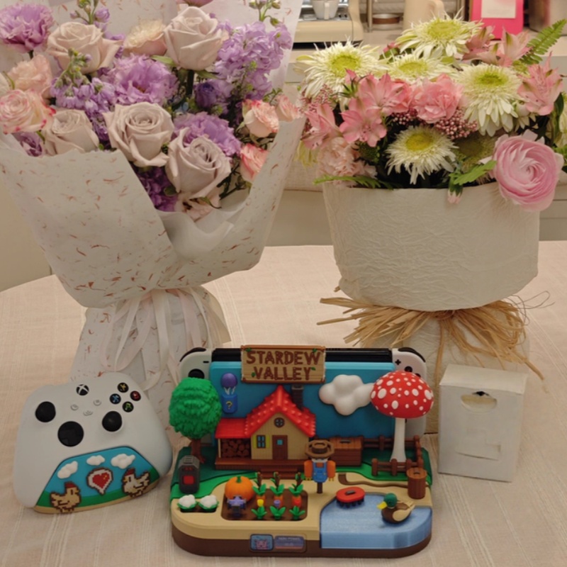 Switch Dock Stardew Valley Far - Gaming Console Holder ulasan dan harga